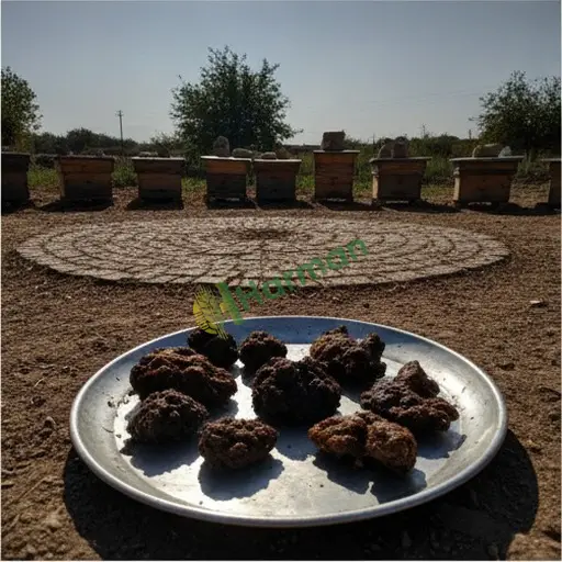Hopa'dan Propolis Satılık