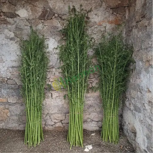 Mardin Dargeçit ramie satılık
