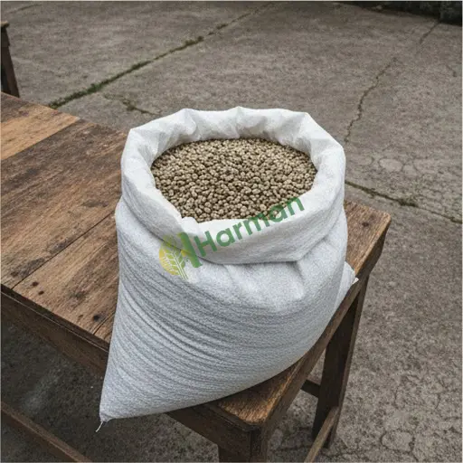 Sakarya Kocaali'de Robusta kahve satılır