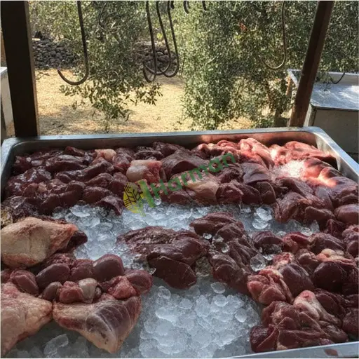 Bayburt Aydıntepe sakatat satılık
