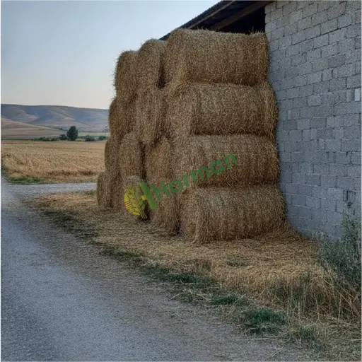Yozgat Saraykent'te saman satıyorum