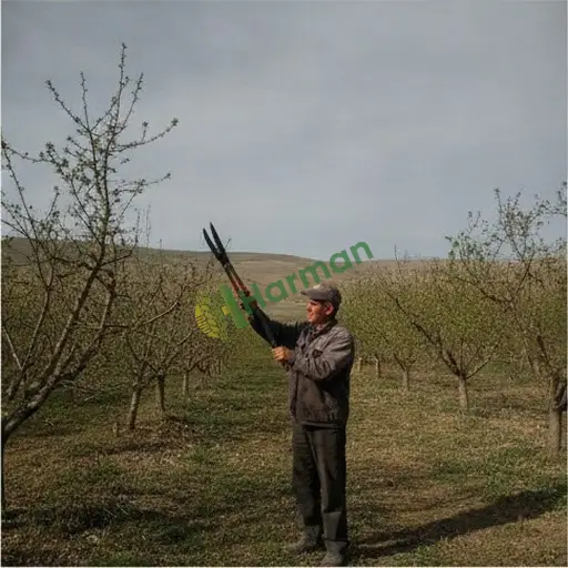 Hatay İskenderun'da sezonluk bakım hizmeti satılık