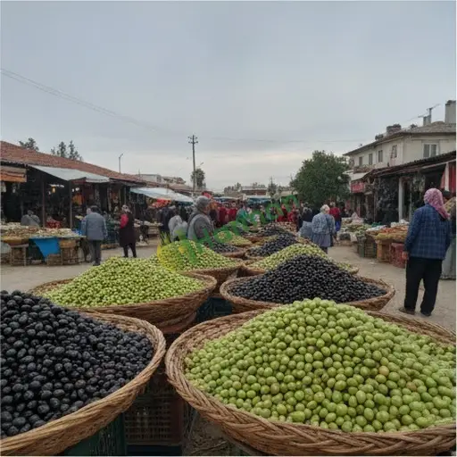 Rize Hemşin'de sofralık zeytin satıyorum