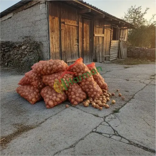 Düzce Çilimli kuru soğan satılık