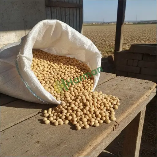 Tunceli Hozat'ta satılık soya fasulyesi