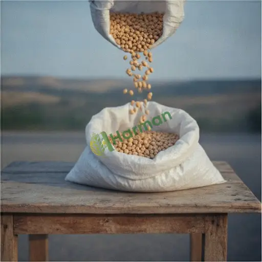 Zonguldak Kozlu'da soya fasulyesi satıyorum