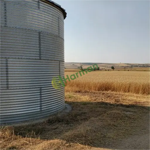 Sinop Türkeli Satılık Tahıl Silosu Galvaniz