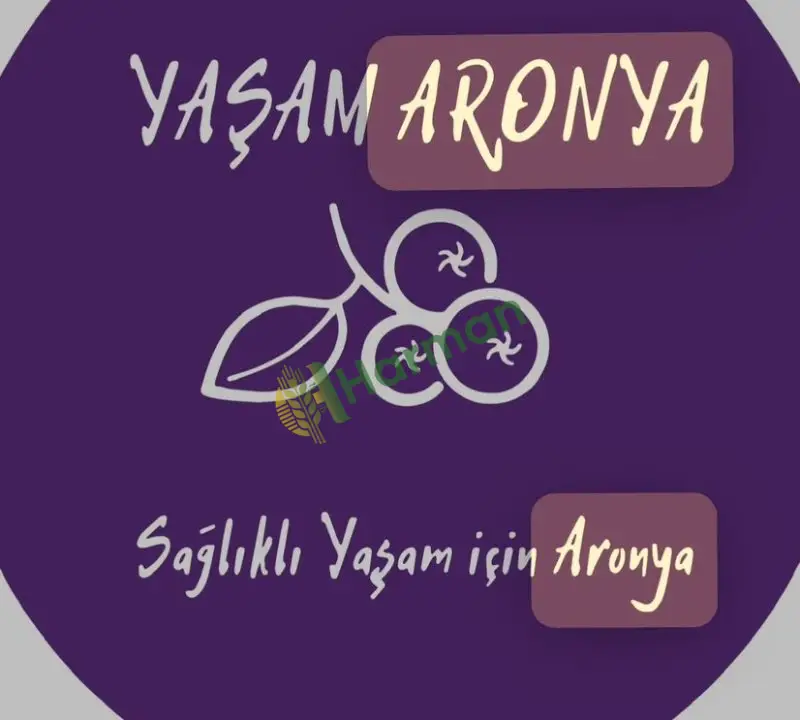 Satılık Taze Aronya