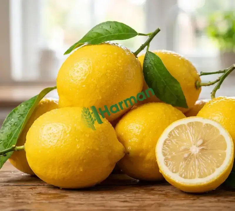 Satılık Taze Limon