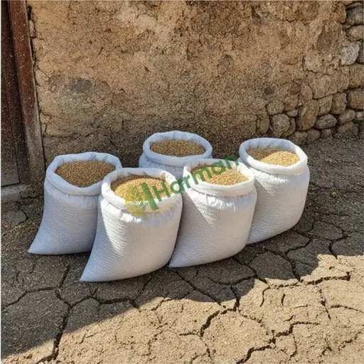 Bingöl Yedisu'da tritikale satılık