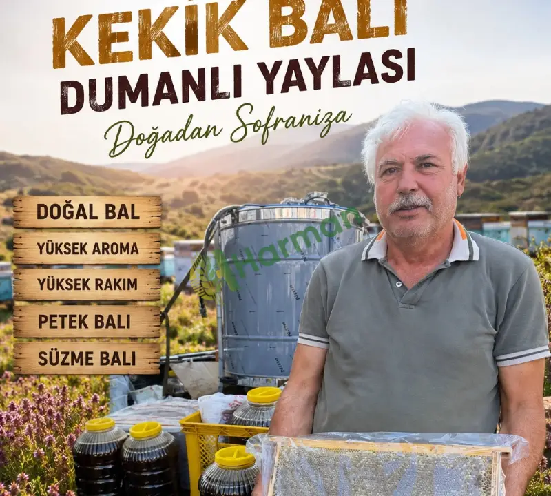 Satılık yayla-kekik balı