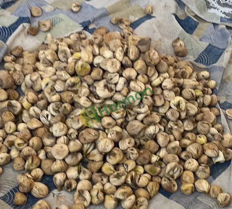 Satılık Yeni Mahsül A Kalite Kuru İncir - 3