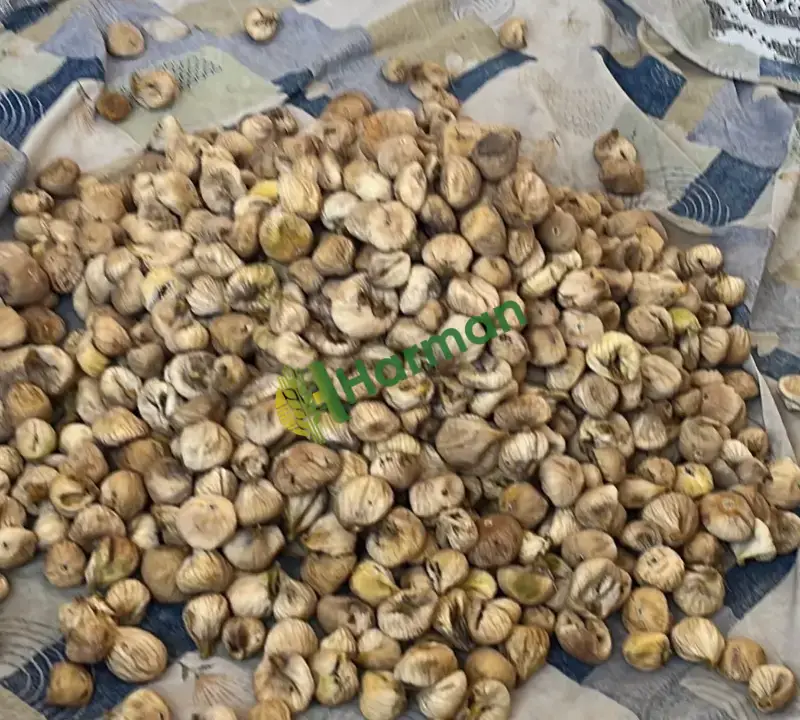 Satılık yeni mahsül a kalite kuru incir