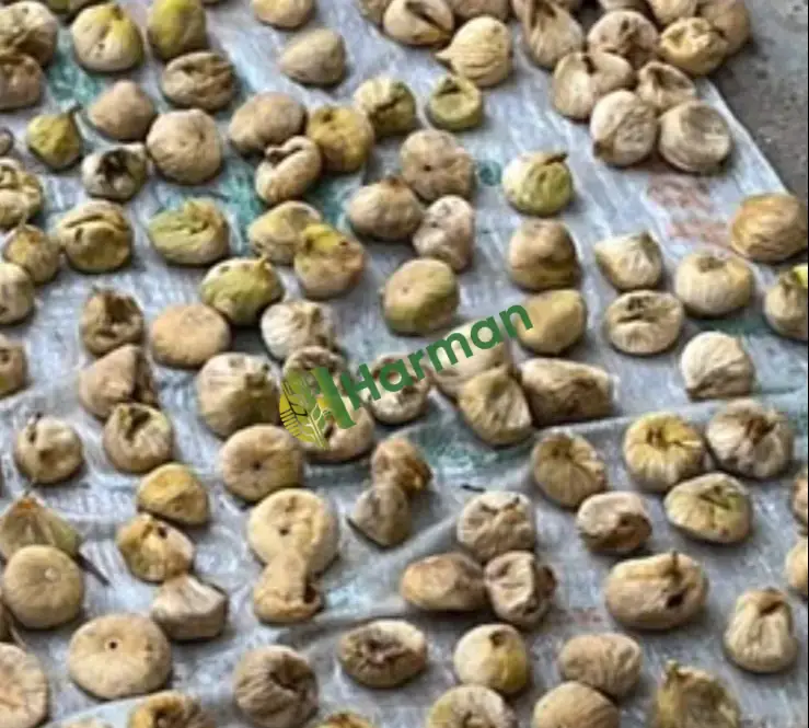 Satılık yeni mahsül a kalite kuru incir