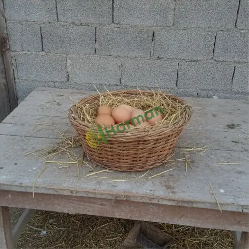 Adıyaman Gerger'de köy yumurtası satıyorum