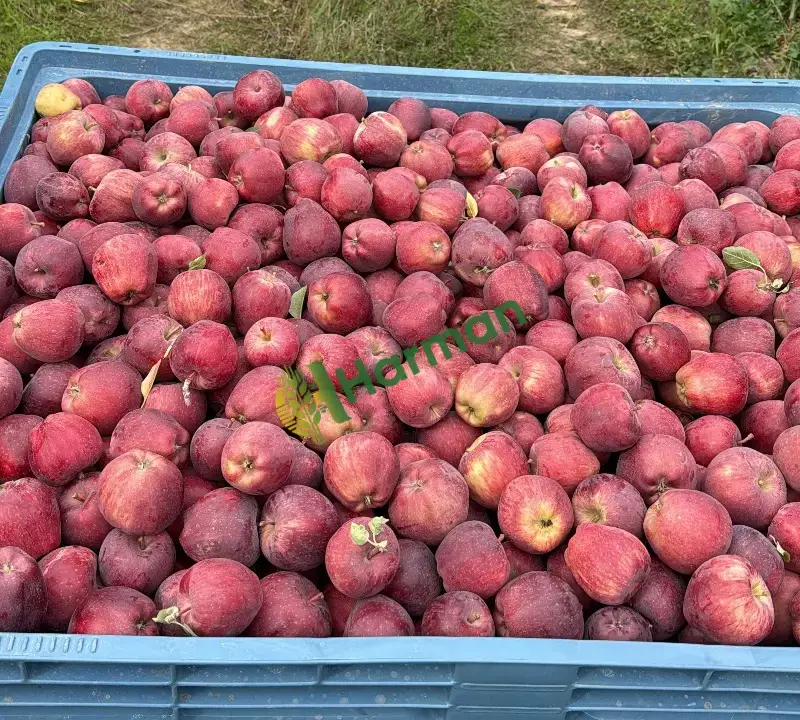 SATIŞA HAZIR DEPODAN TESLİM