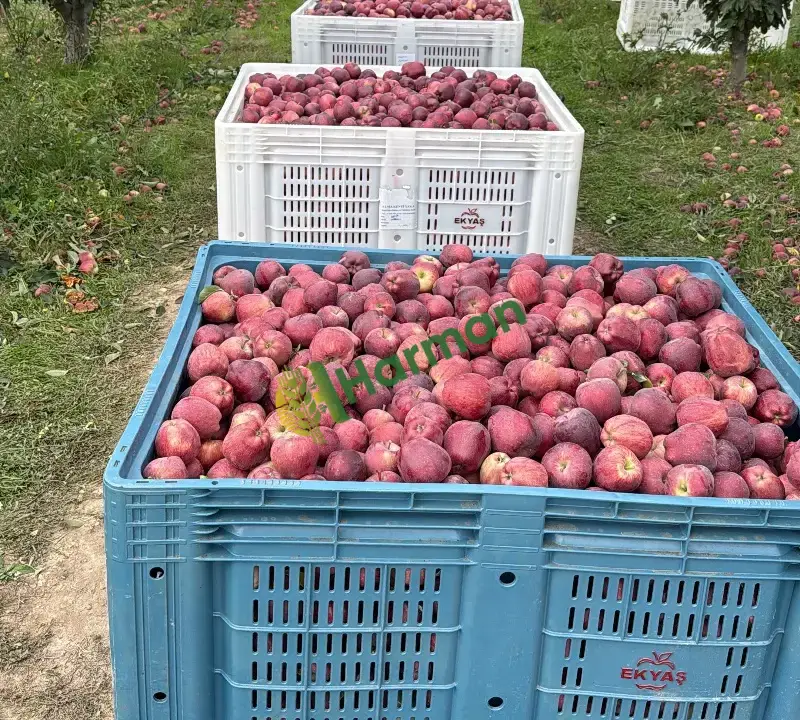 SATIŞA HAZIR DEPODAN TESLİM