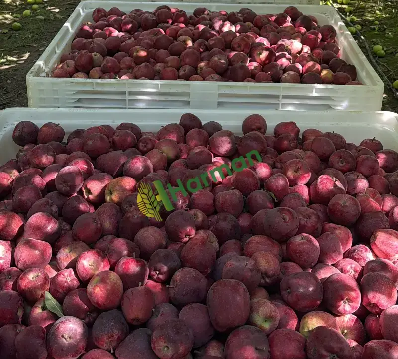 SATIŞA HAZIR DEPODAN TESLİM