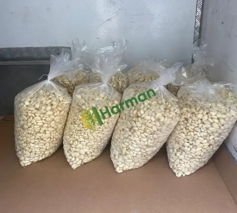 Sarımsak (Kuru) hal fiyatı