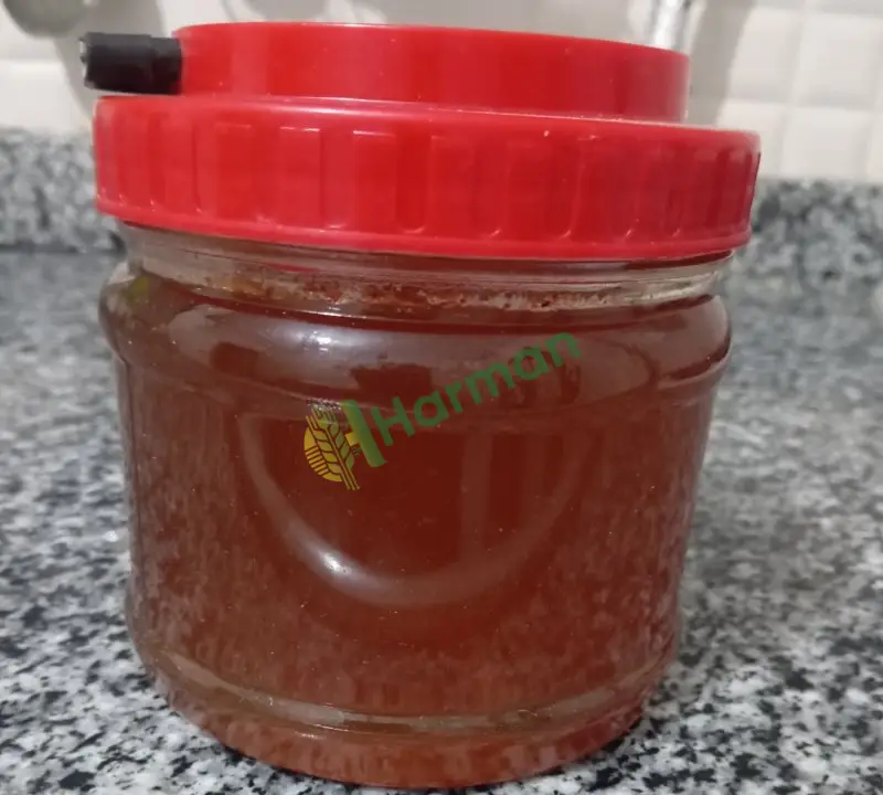 Şekersiz bal