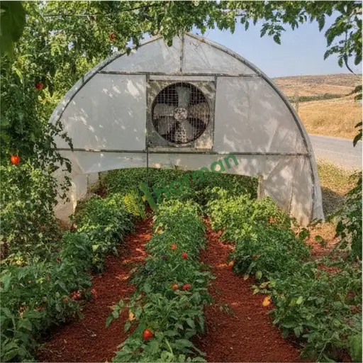 Ardahan Çıldır'da kiralık sera soğutma sistemi aranıyor