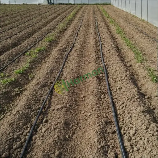 Adıyaman Gerger sera sulama sistemi lazım