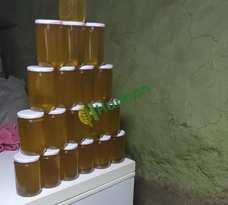 Siirt Pervari karakovan balı