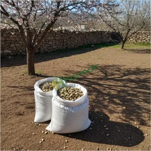 Siirt Şirvan'da badem satılık