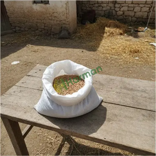 İstanbul Bakırköy'de 200 kg şimşir tohumu toptan alınır