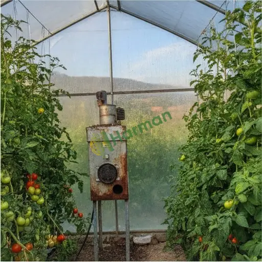 Sinop Merkez · Aranan CO2 Jeneratörü (Sera) - 1 Adet