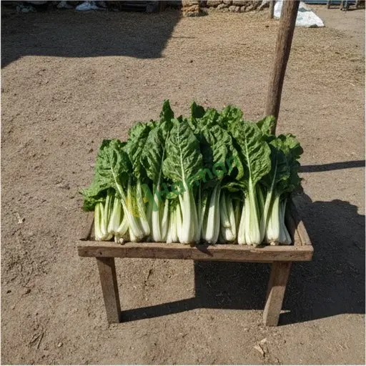 Sinop Ayancık'ta pazı satılır
