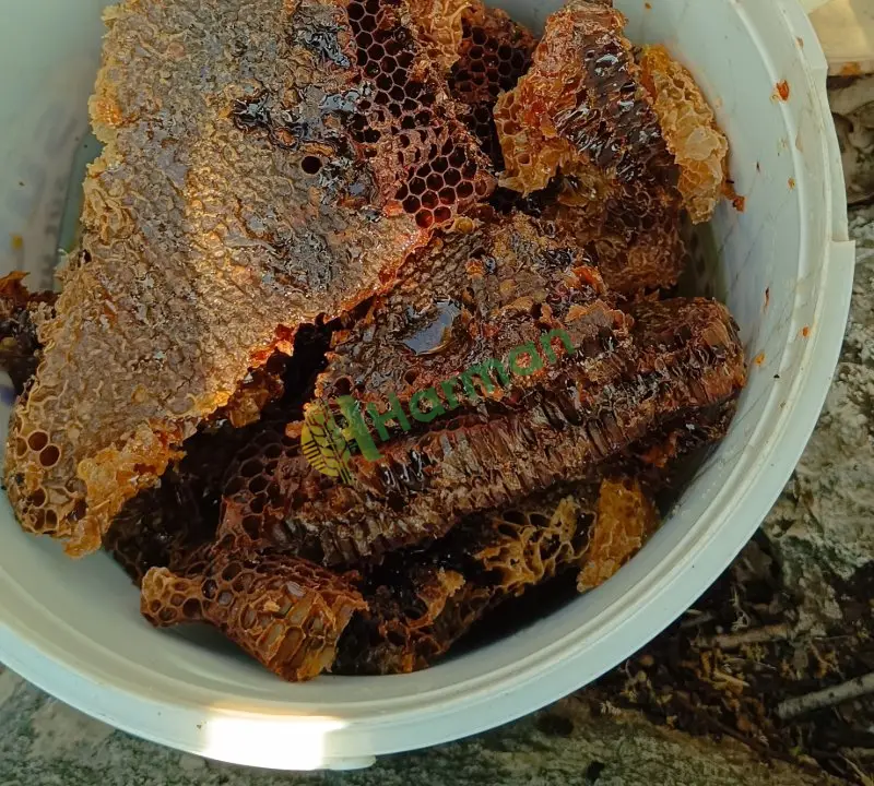 Şırnak hakiki kara kovan yaban balı (tıbbi bal)