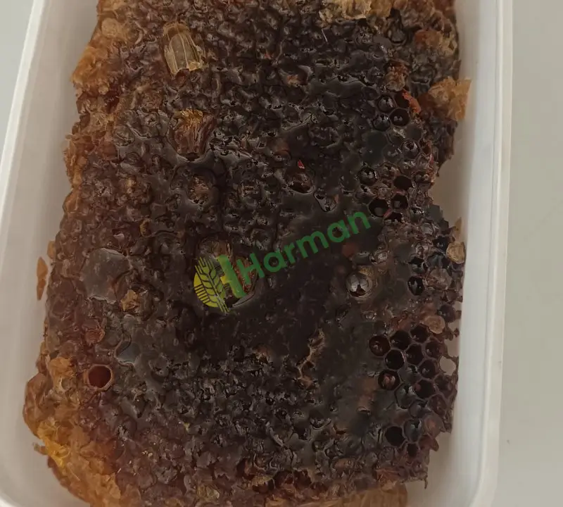 Şırnak hakiki kara kovan yaban balı (tıbbi bal)