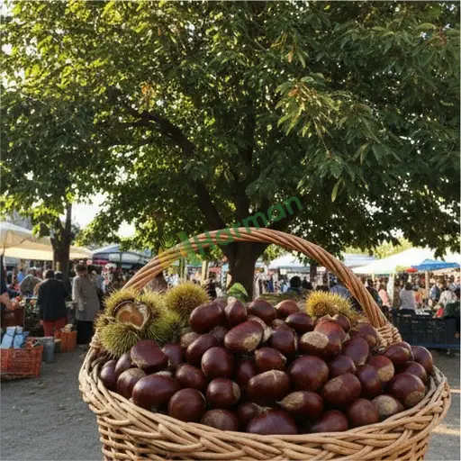Şırnak Silopi kestane satarım