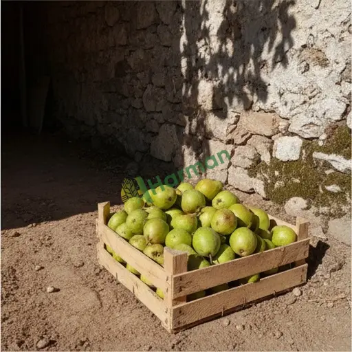 Şırnak Güçlükonak'ta armut satılık