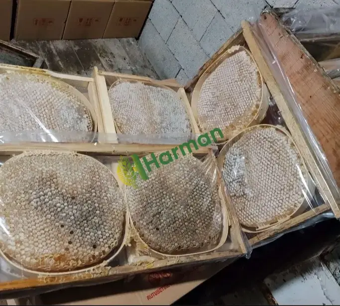 Sivas kangal karakovan petek balı