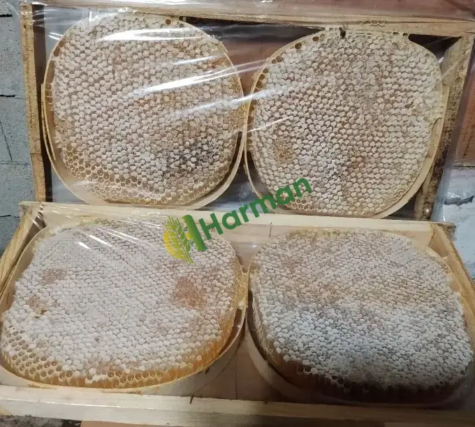 Sivas kangal karakovan petek balı