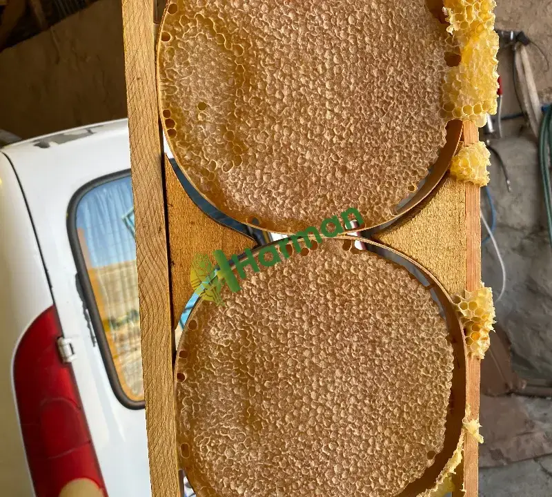 Sivas kangal karakovan petek balı
