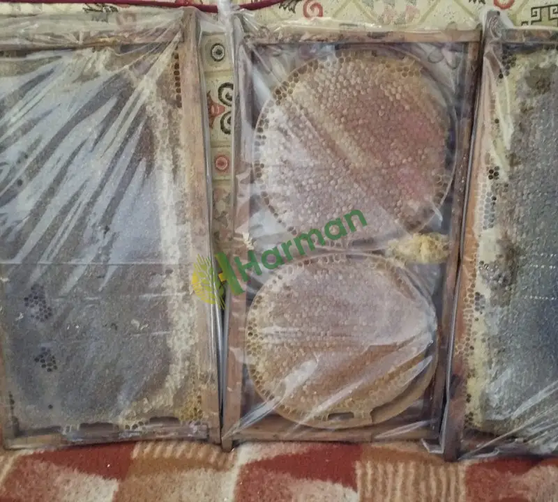 Sivas Zara Üretimi 3,5 Ton Petek + 1 Ton Süzme Bal