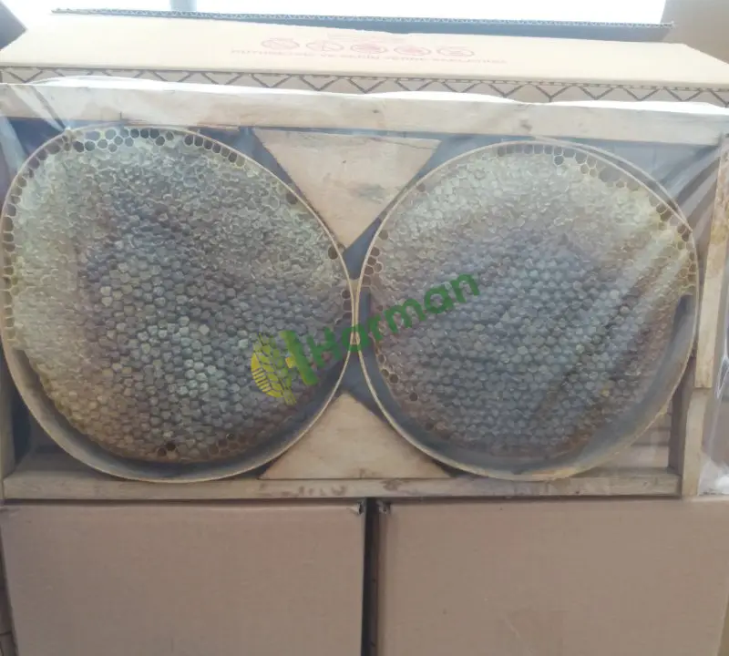 Sivas Zara Üretimi 3,5 Ton Petek + 1 Ton Süzme Bal