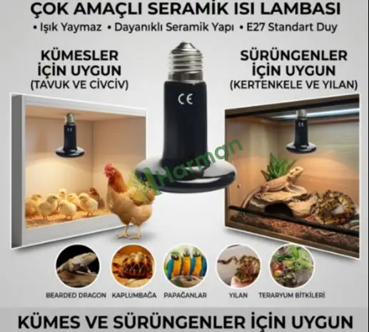 Siyah Sürüngen Teraryum Isı Lambası