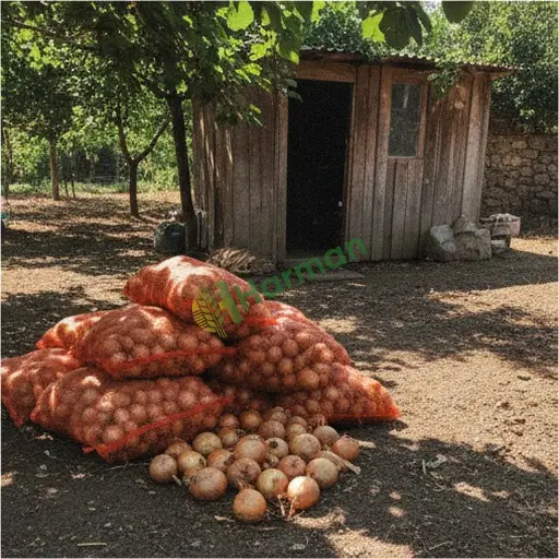 Gümüşhane Kelkit'den Aranan Soğan
