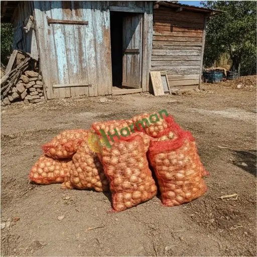 Ordu Korgan soğan alınacak