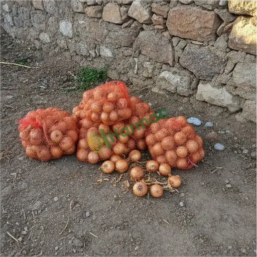 Nevşehir Merkez'de soğan alıyorum