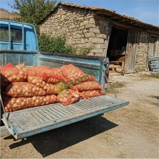Antalya Gazipaşa'da soğan lazım