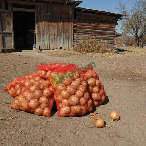 Ordu Çaybaşı soğan alıcısıyım