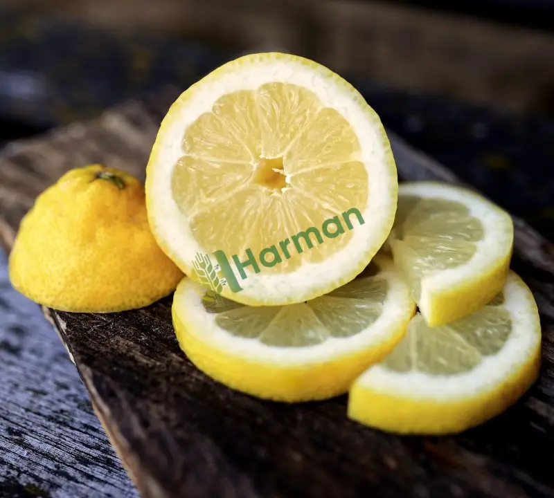 Sos ve limonata fabrikamıza dökme ucuz limon - Elazığ Merkez