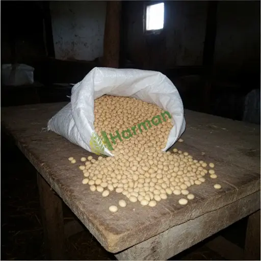 Ardahan Damal'de Aranan Soya