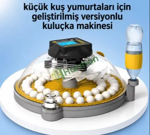 Süs Tavukları Kuluçka Makinesi
