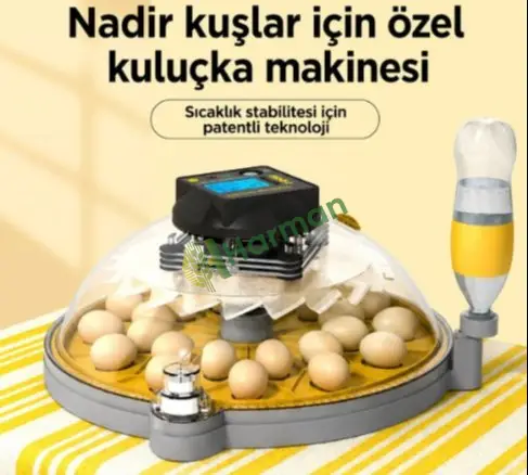 Süs Tavukları Kuluçka Makinesi